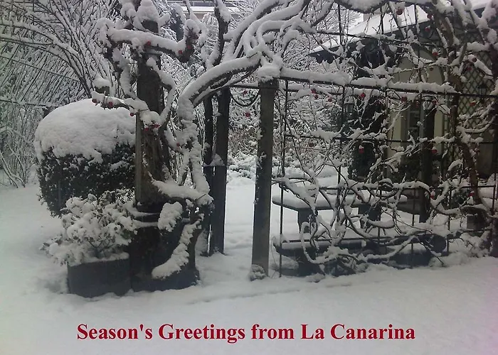 La Canarina Bed & Breakfast